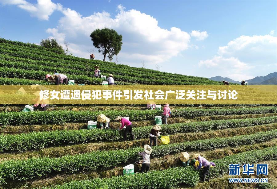 修女遭遇侵犯事件引发社会广泛关注与讨论