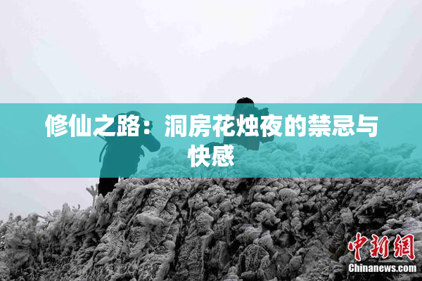 修仙之路：洞房花烛夜的禁忌与快感