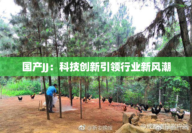 国产JJ：科技创新引领行业新风潮