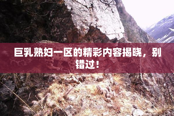 巨乳熟妇一区的精彩内容揭晓，别错过！