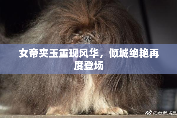 女帝夹玉重现风华，倾城绝艳再度登场