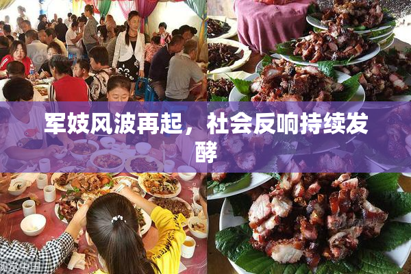 军妓风波再起，社会反响持续发酵