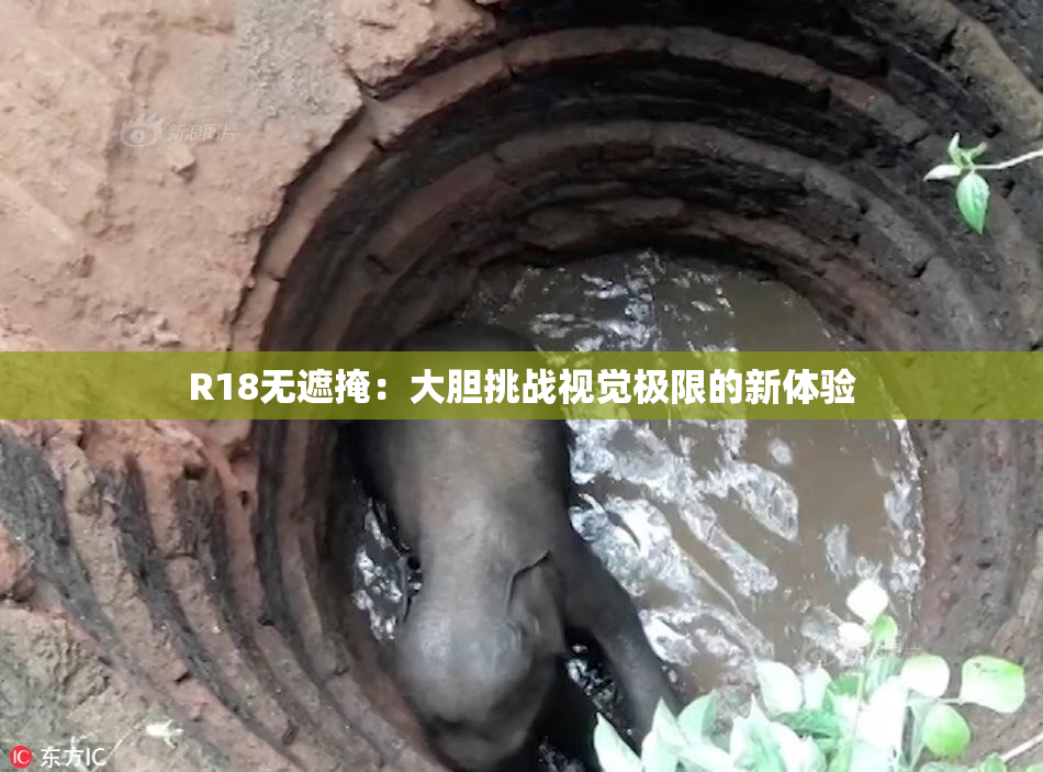 R18无遮掩：大胆挑战视觉极限的新体验