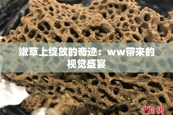 嫩草上绽放的奇迹：ww带来的视觉盛宴