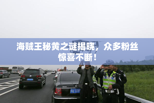 海贼王秘黄之谜揭晓，众多粉丝惊喜不断！