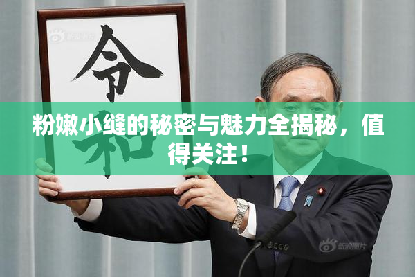 粉嫩小缝的秘密与魅力全揭秘，值得关注！