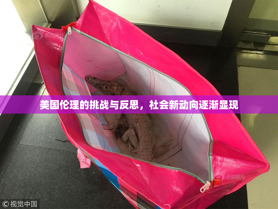 美国伦理的挑战与反思，社会新动向逐渐显现