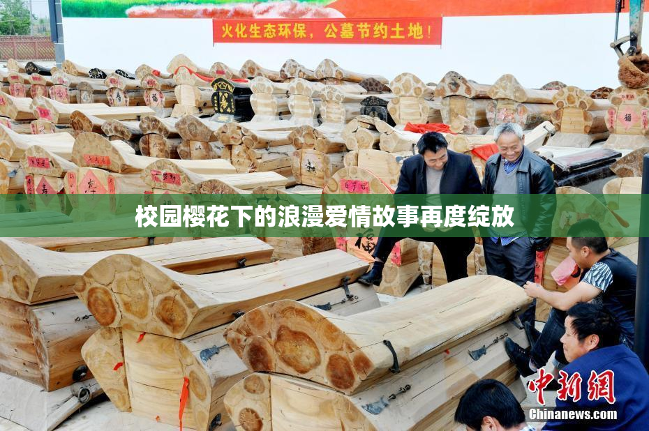 校园樱花下的浪漫爱情故事再度绽放