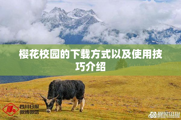 樱花校园的下载方式以及使用技巧介绍