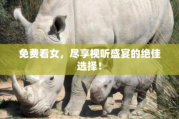免费看女，尽享视听盛宴的绝佳选择！