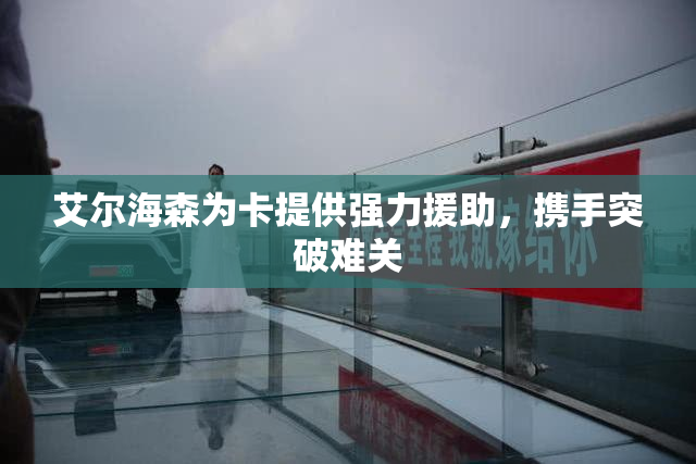 艾尔海森为卡提供强力援助，携手突破难关