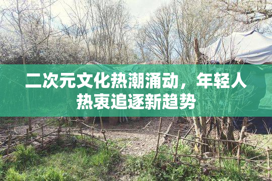 二次元文化热潮涌动，年轻人热衷追逐新趋势