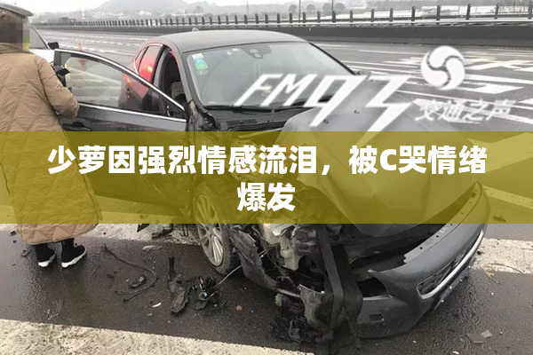 少萝因强烈情感流泪，被C哭情绪爆发