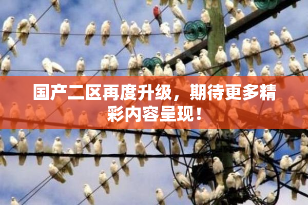 国产二区再度升级，期待更多精彩内容呈现！