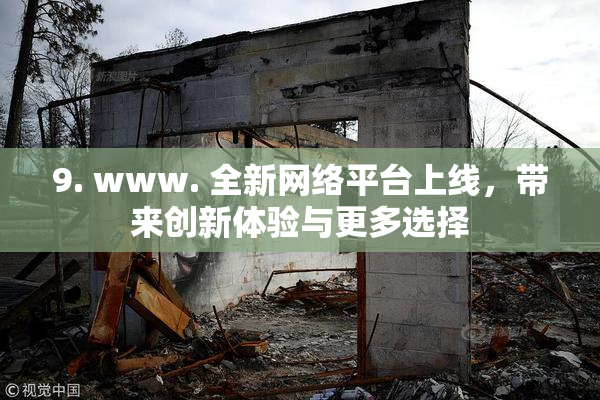 9. www. 全新网络平台上线，带来创新体验与更多选择