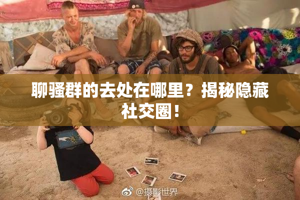聊骚群的去处在哪里？揭秘隐藏社交圈！
