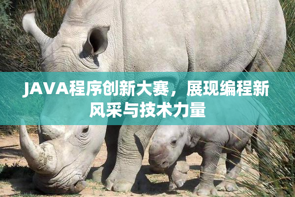 JAVA程序创新大赛，展现编程新风采与技术力量