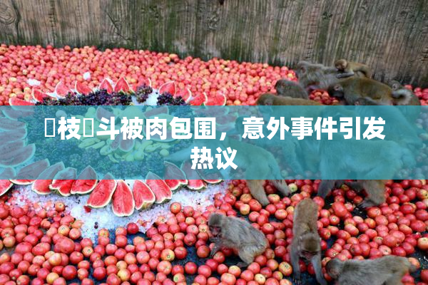 狛枝凪斗被肉包围，意外事件引发热议