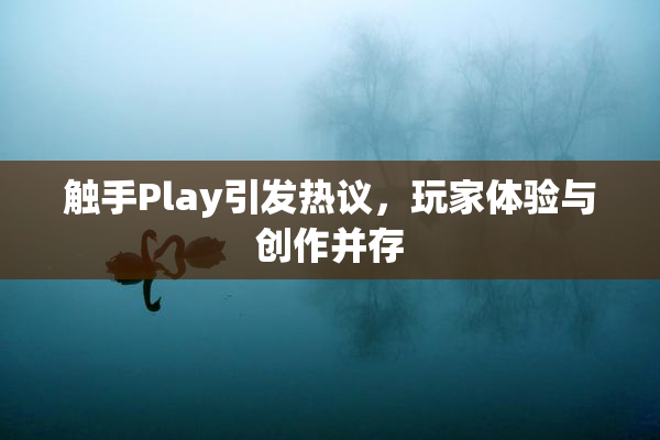 触手Play引发热议，玩家体验与创作并存