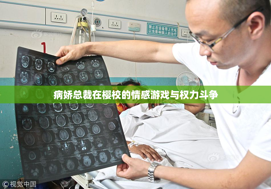 病娇总裁在樱校的情感游戏与权力斗争