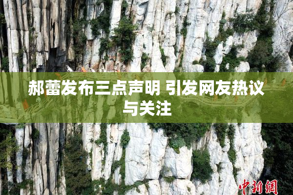 郝蕾发布三点声明 引发网友热议与关注