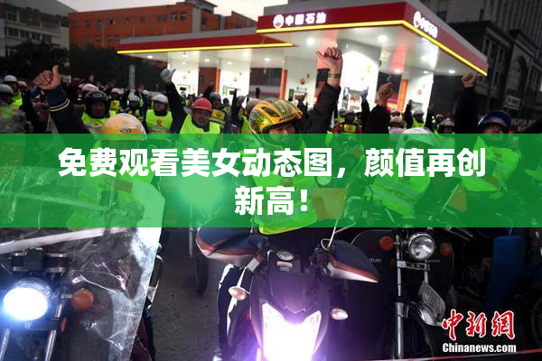 免费观看美女动态图，颜值再创新高！