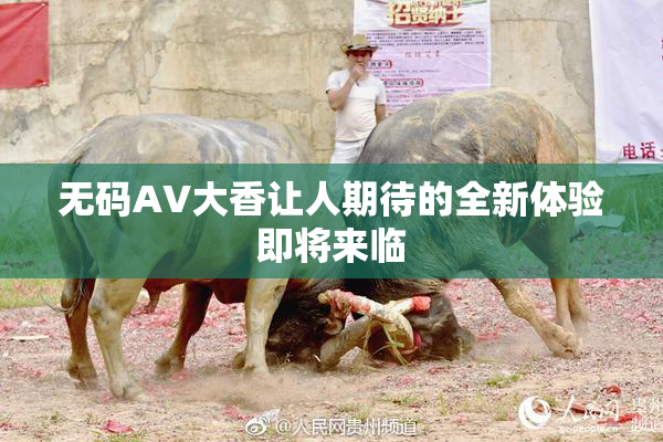无码AV大香让人期待的全新体验即将来临