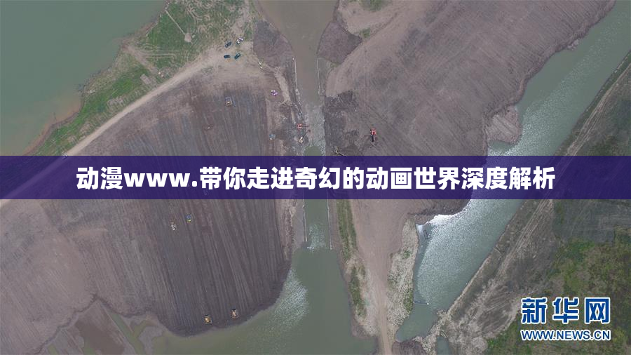 动漫www.带你走进奇幻的动画世界深度解析