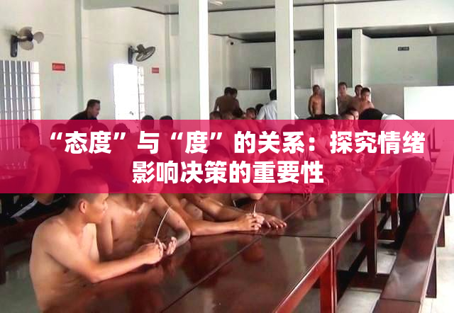 “态度”与“度”的关系：探究情绪影响决策的重要性