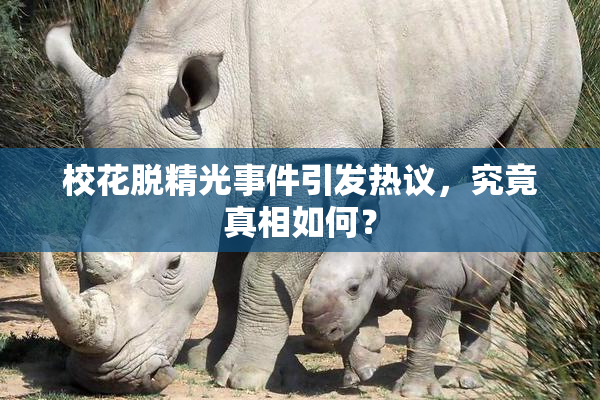 校花脱精光事件引发热议，究竟真相如何？