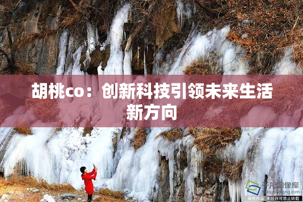 胡桃co：创新科技引领未来生活新方向