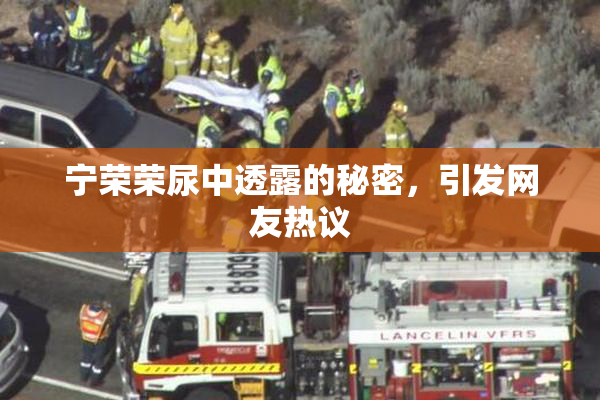 宁荣荣尿中透露的秘密，引发网友热议