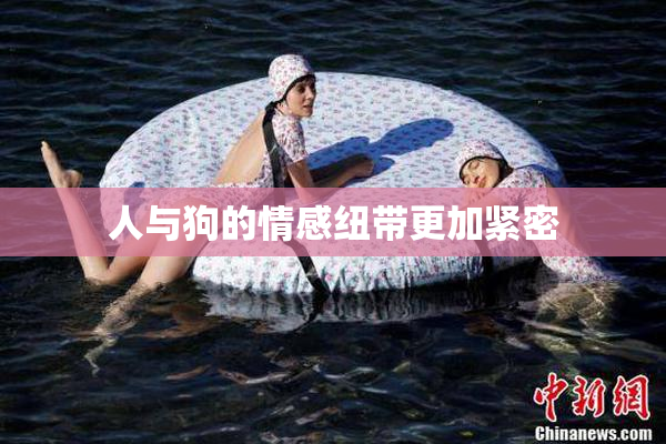 人与狗的情感纽带更加紧密