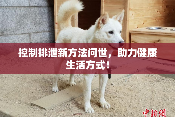 控制排泄新方法问世，助力健康生活方式！