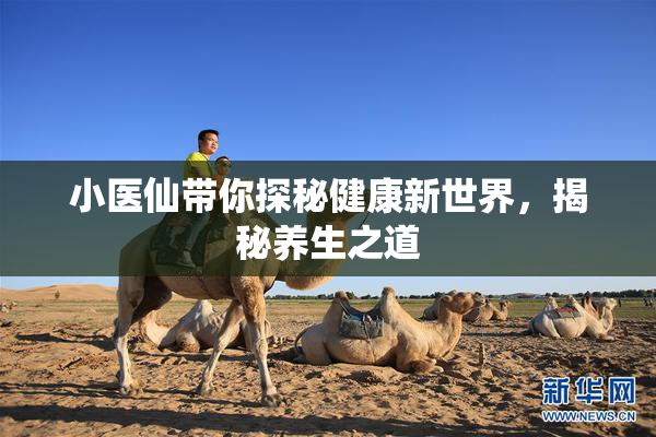 小医仙带你探秘健康新世界，揭秘养生之道