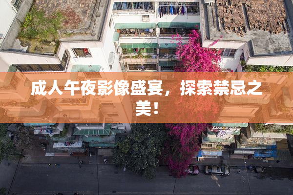 成人午夜影像盛宴，探索禁忌之美！