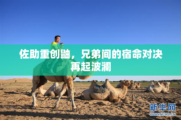 佐助重创鼬，兄弟间的宿命对决再起波澜