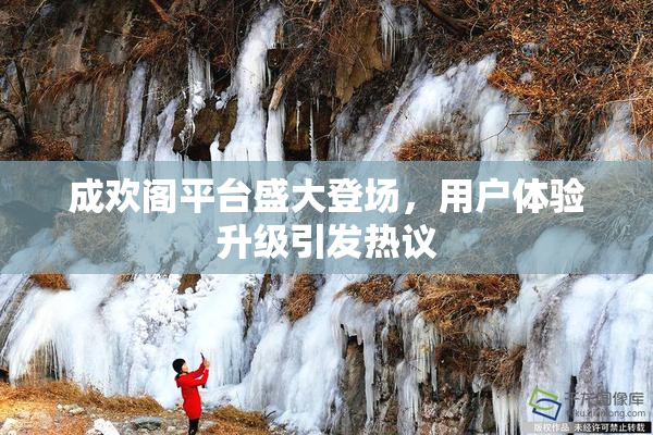 成欢阁平台盛大登场，用户体验升级引发热议