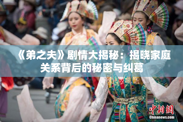 《弟之夫》剧情大揭秘：揭晓家庭关系背后的秘密与纠葛