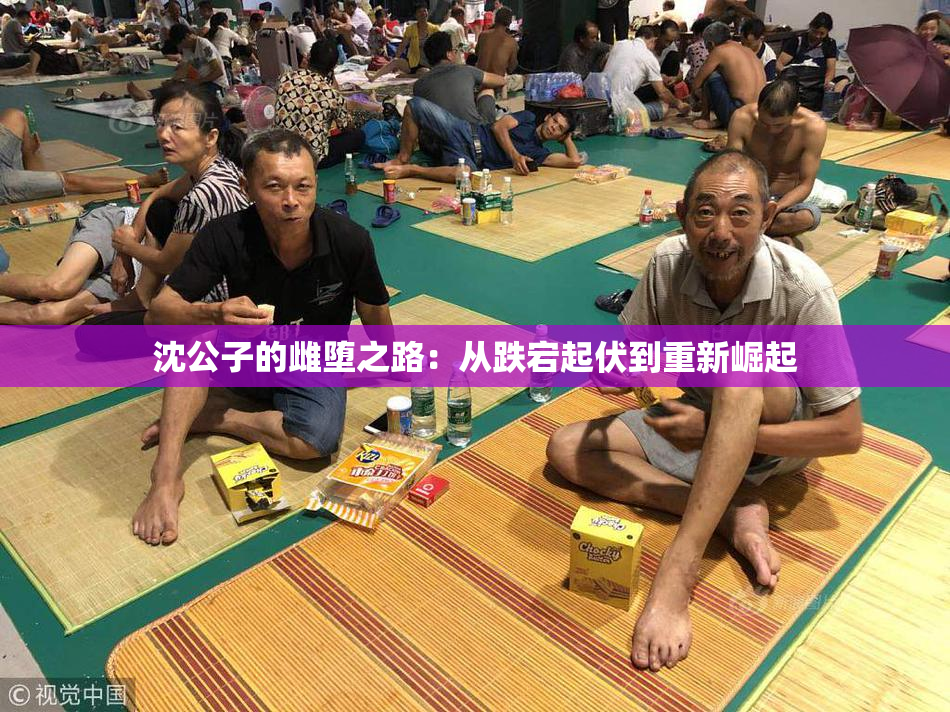 沈公子的雌堕之路：从跌宕起伏到重新崛起