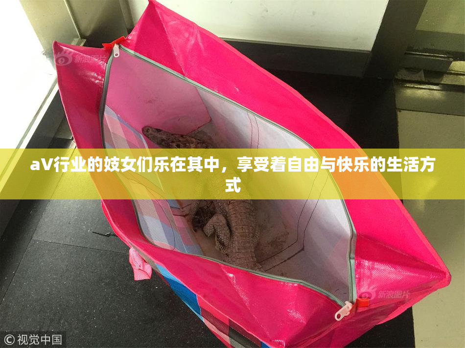 aV行业的妓女们乐在其中，享受着自由与快乐的生活方式