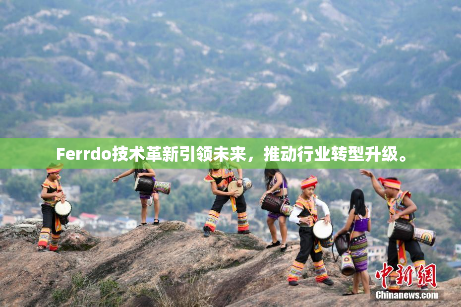 Ferrdo技术革新引领未来，推动行业转型升级。