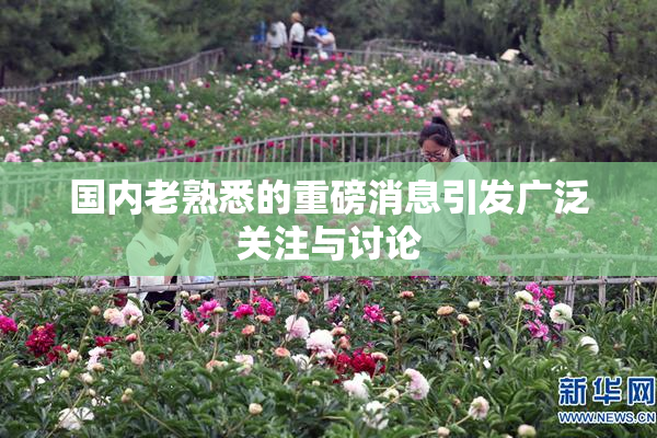 国内老熟悉的重磅消息引发广泛关注与讨论