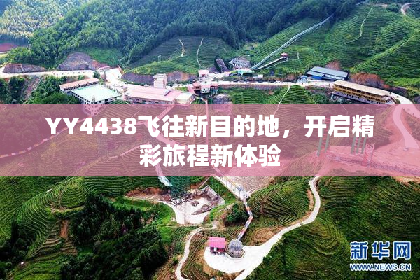 YY4438飞往新目的地，开启精彩旅程新体验