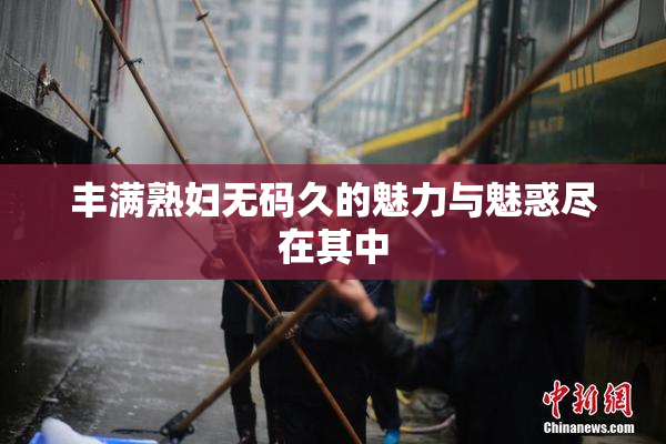 丰满熟妇无码久的魅力与魅惑尽在其中