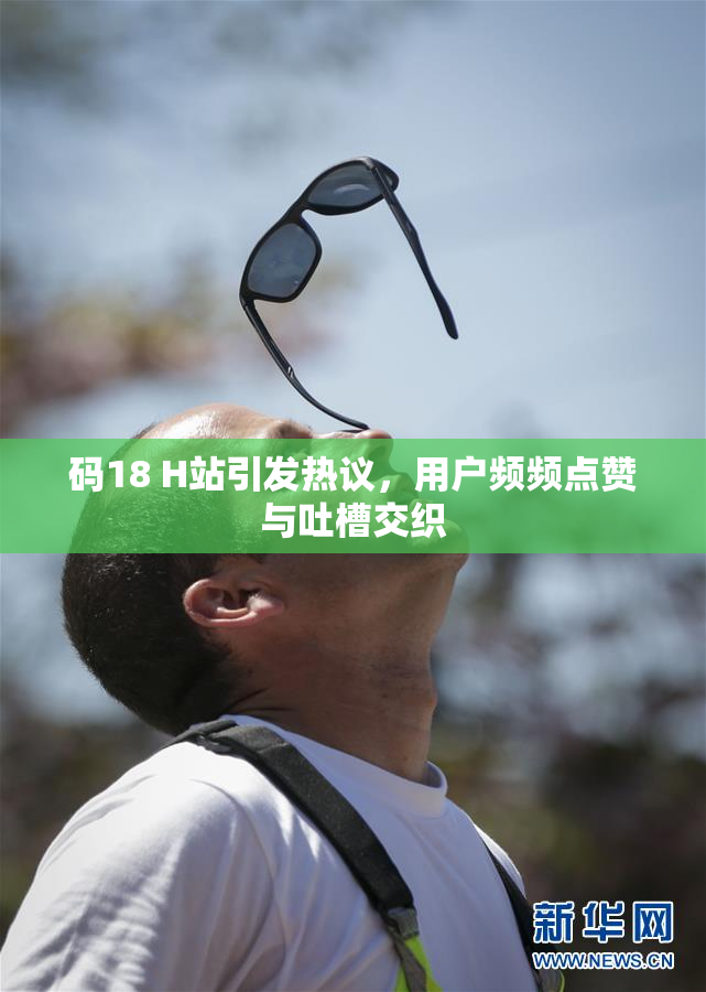 码18 H站引发热议，用户频频点赞与吐槽交织
