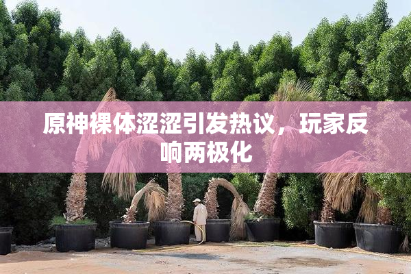 原神裸体涩涩引发热议，玩家反响两极化