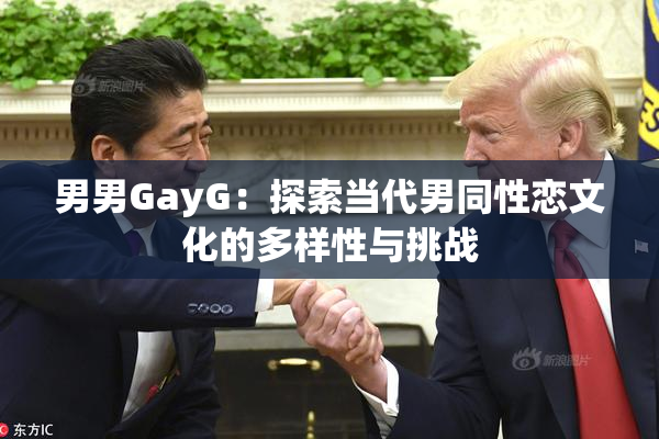 男男GayG：探索当代男同性恋文化的多样性与挑战