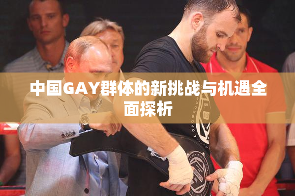 中国GAY群体的新挑战与机遇全面探析