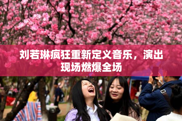 刘若琳疯狂重新定义音乐，演出现场燃爆全场